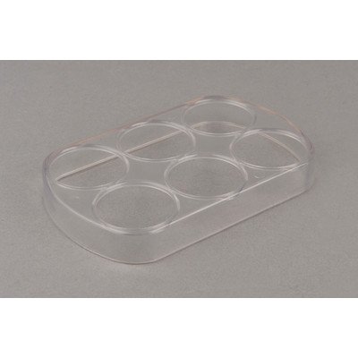 POJEMNIK NA JAJKA (ST359)