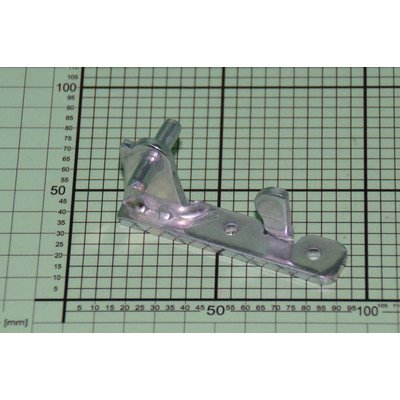 Zawias do chłodziarko-zamrażarki Amica środkowy (1043960)