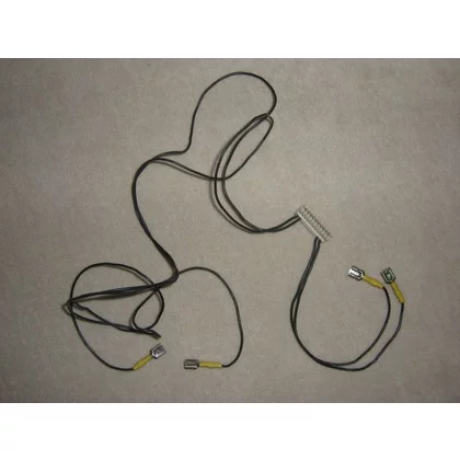 Złącze 10-polowe z wiązką do zegara ZT (MO1) Mastercook / Fagor C120010C3
