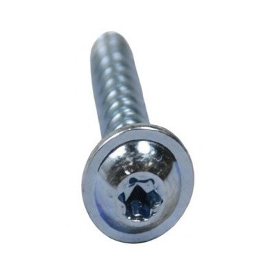 1997921 Screw Pt5 x 20 Torx With Rondel AMICA