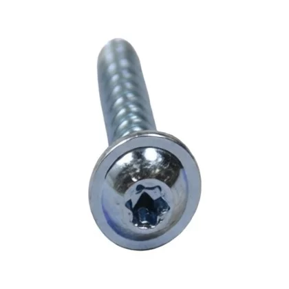 Śruba montażowa do zmywarki Amica PT5 x 20 Torx z rondlem 1997921
