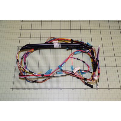 Wiązka przewodów zmywarki Amica (1041841)