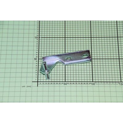 Zawias środkowy (1019891)