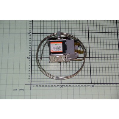 Termostat WPF27T-L-06