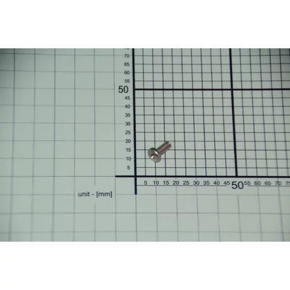 Śruba montażowa do lodówki Amica 1020291