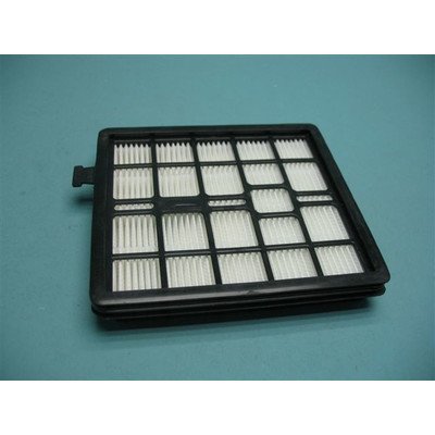 Filtr przedsilnikowy HEPA (1013948)