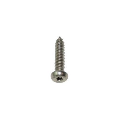 1992983 Screw - 5.5 x 25 AMICA