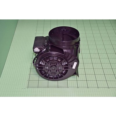 Dmuchawa kompletna (1041007)