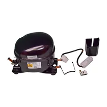 Kompresor do chłodziarko-zamrażarki Amica HDL125A R600a 1040801