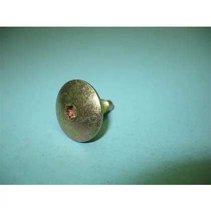 Śruba torx do pralki Amica 1004263