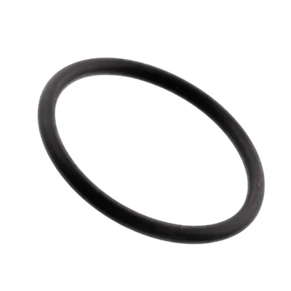 Uszczelka filtra pompy odpływowej do pralki Electrolux / AEG 50221747004