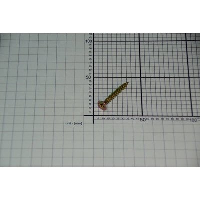 Wkręt 6x45 do chłodziarko-zamrażarki Amica ocynk-kołek Elma (8001237)