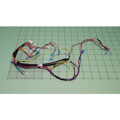 DFM 638 Wiązka przewodów zmywarki Amica (1041516)