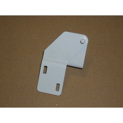 1922814 Zawias Dolny M60.Ks (Lewy) Lakier AMICA