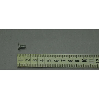 Wkręt montażowy do urządzeń AGD Amica M5x10 1996952