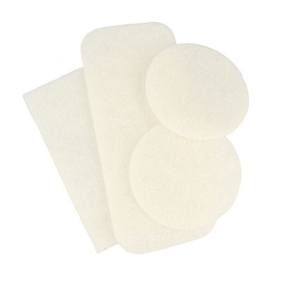 Filtr przed silnikiem do Clario 2szt. EF29 Electrolux (9000844226)