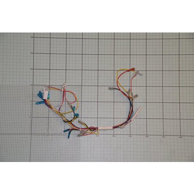 Wiązka przewdów elektrycznych Amica (1017222)