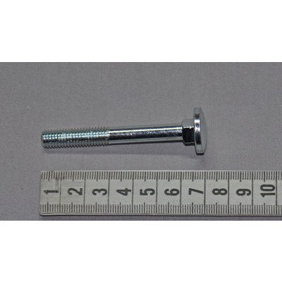 AWG814DJi (AWG8143CDi) Śruba zamkowa z łbem grzybkowym M8x65 Amica (1031955)