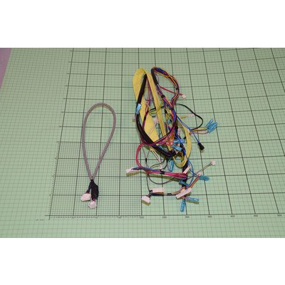 DIM 637 Wiązka przewodów zmywarki Amica (1041953)