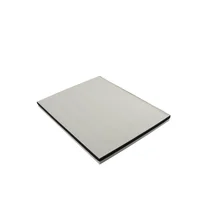 Filtry oczyszczaczy powietrza Filtr powietrza do oczyszczacza powietrza Electrolux / AEG HEPA 12 / H12