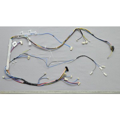 Zespół wiązki do pralki Amica (6/8/10 COLD)F/50-BMRNG (1039148)