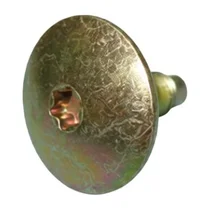 Śruba torx do pralki Amica 1004263