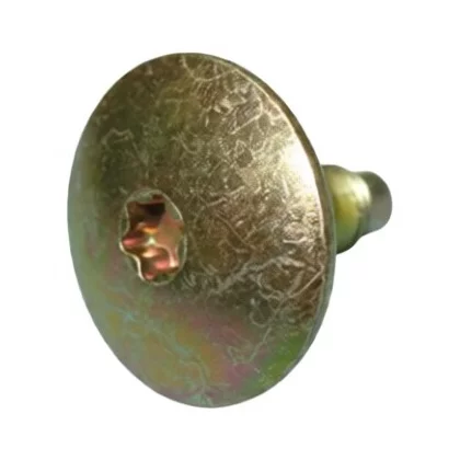 Śruba torx do pralki Amica 1004263