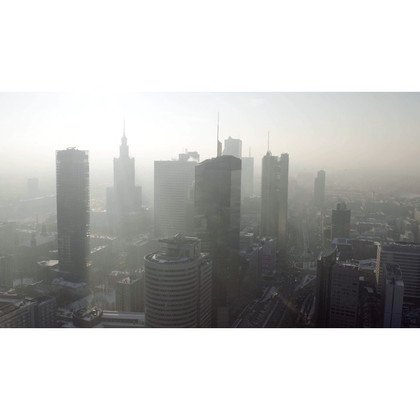 Filtr EFDFRH6 zintegrowany z filtrem węglowym do oczyszczacza powietrza Electrolux (9009229924)