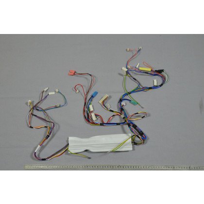 Główna wiązka przewodów