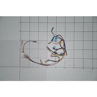 Wiązka przewodów elektrycznych (1017283)