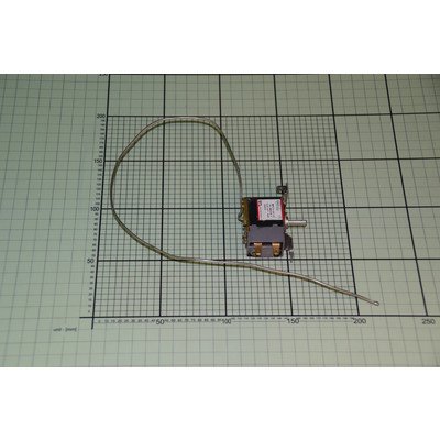 Termostat (1021523)
