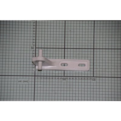 Zawias środkowy (1013770)