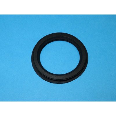 Uszczelka spryskiwacza (790936)