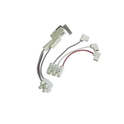 Wiązka kabli z mikroprzełącznikiem drzwi do kuchenki Candy / Hoover / Rosières 93963910