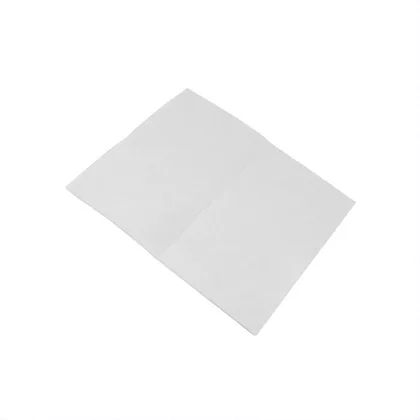 Mikrofiltr EF2 do odkurzacza Electrolux / AEG 8996681024908