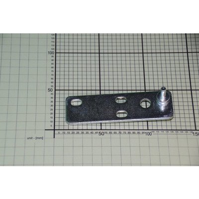 Zawiasu dolny zespół Amica (1019733)