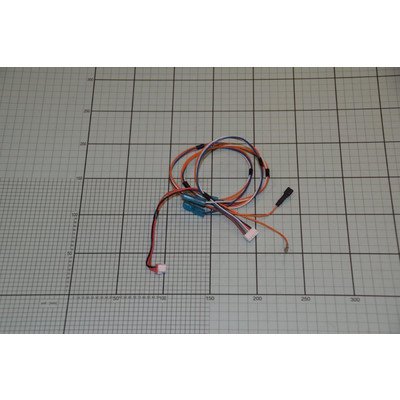 DFM 436 Wiązka przewodów zmywarki Amica (1035050)