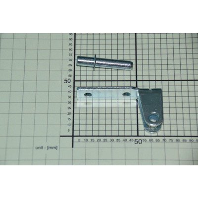 Zawias środkowy (1037198)