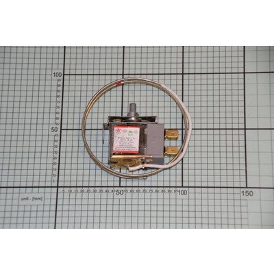 Termostat WDF26C-2D0CC-Ex 1B.2D.3B.4B Amica (1034880)