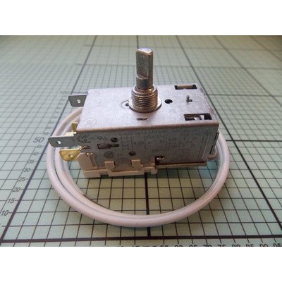 Termostat (1032325)