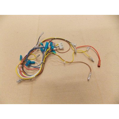 Wiązka przewodów elektrycznych (1017173)