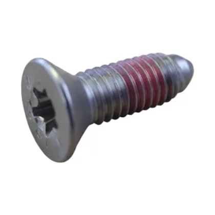 Śruba montażowa do pralki Amica 8016503
