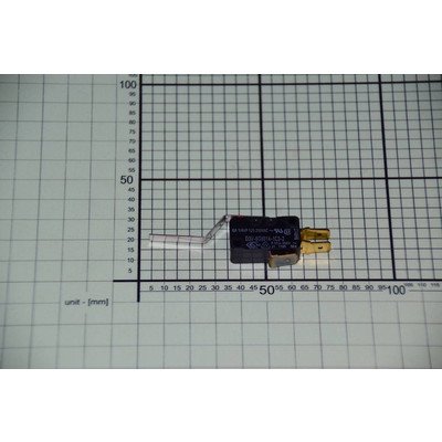 Mikroprzełącznik (1013147)