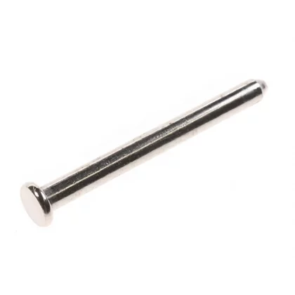 Oś zawiasu klapy do odkurzacza Electrolux / AEG 115849002
