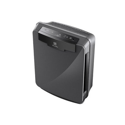 Zestaw filtrów do oczyszczacza powietrza EF116 Electrolux (9001676544)