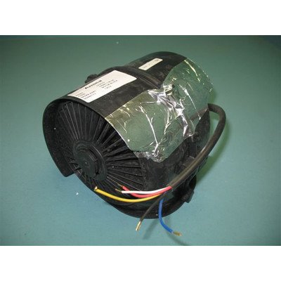 Zespół silnika (1016170)