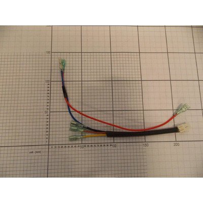 Wiązka termostatu (1022428)