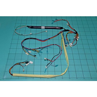 Główna wiązka przewodów