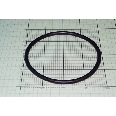 Uszczelka zbiornika169x10 (1039000)
