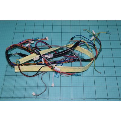 DFM 438 1048054 Główna wiązka przewodów AMICA